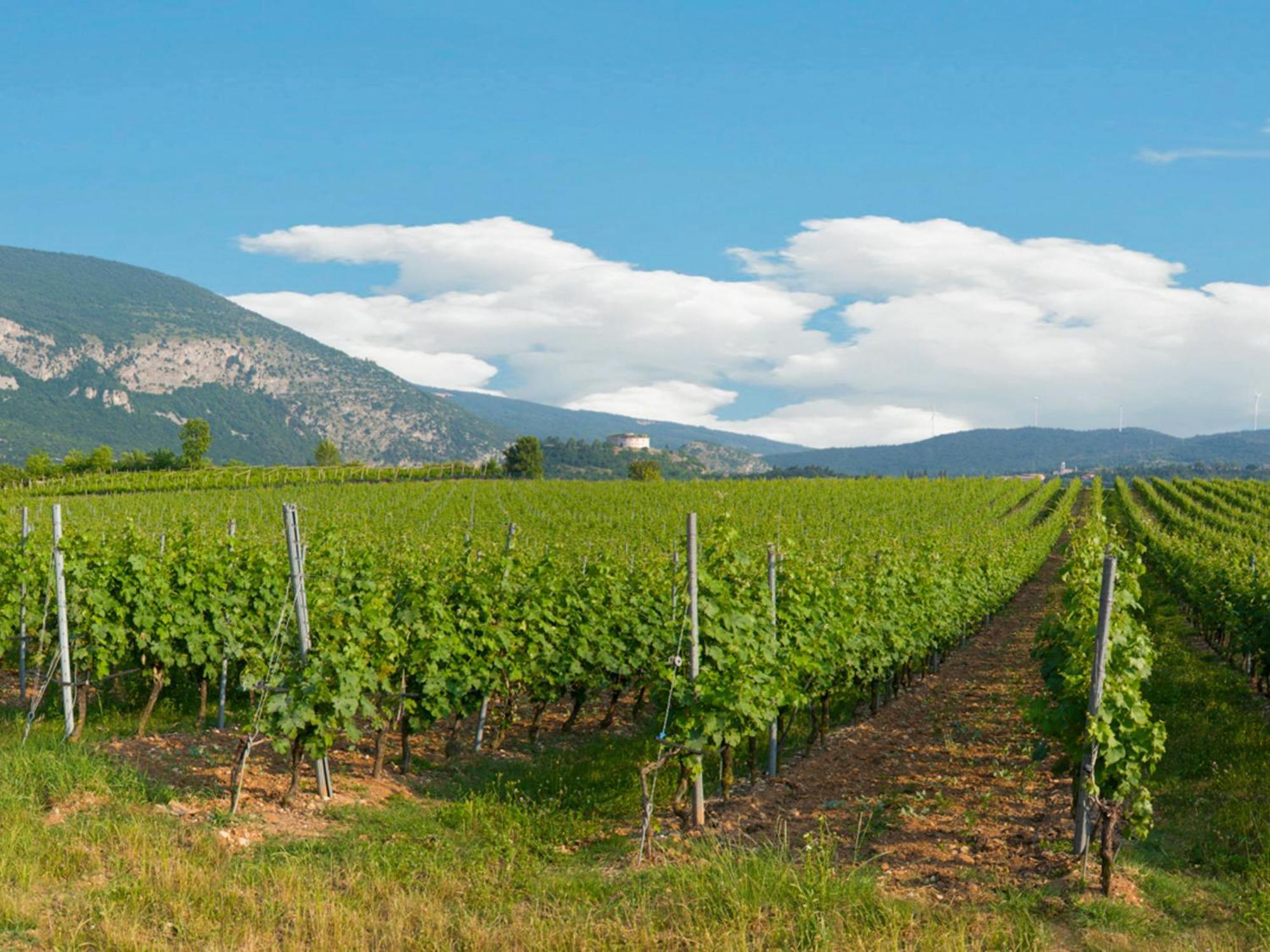 Tenuta La Presa Caprino Veronese Kültér fotó