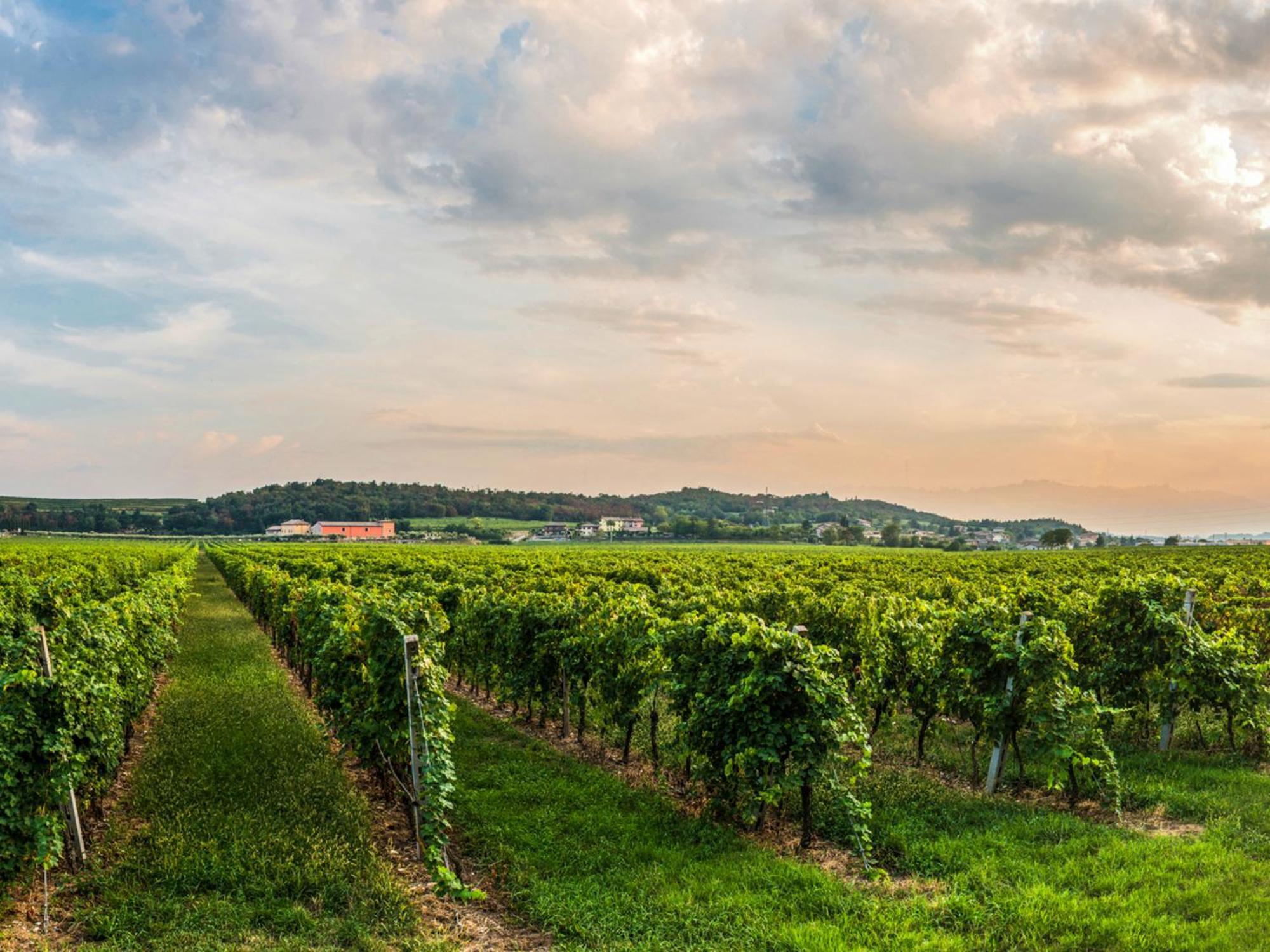 Tenuta La Presa Caprino Veronese Kültér fotó